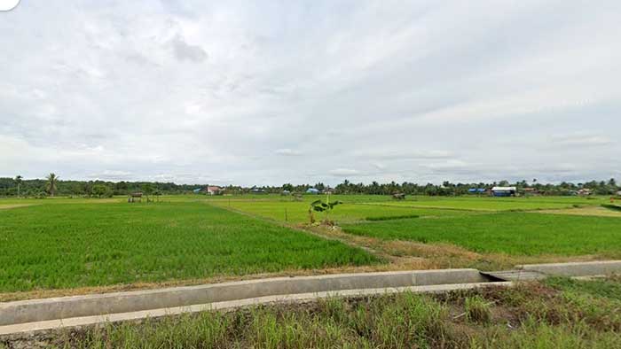 KETAHANAN PANGAN: Daerah Kelurahan Pulau Atas jadi salah satu lumbung padi bagi warga Samarinda. Petani di sini harus dapat perhatian.