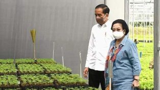 Presiden Jokowi, saat meninjau kawasan pembibitan Rumpin, Jawa Barat. (foto: dok. Biro Pers Setpres)