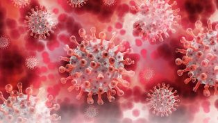 Ilustrasi virus. (foto: pixabay.com)