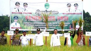 Untuk target Swasembada Pangan, Wagub Seno Aji melakukan Panen Raya di Kukar.